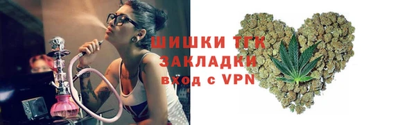 стаф Аркадак
