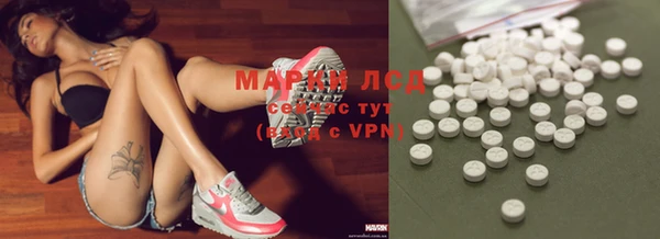 стаф Аркадак