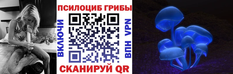 мориарти как зайти  купить наркотик  Белорецк  Галлюциногенные грибы Psilocybine cubensis 
